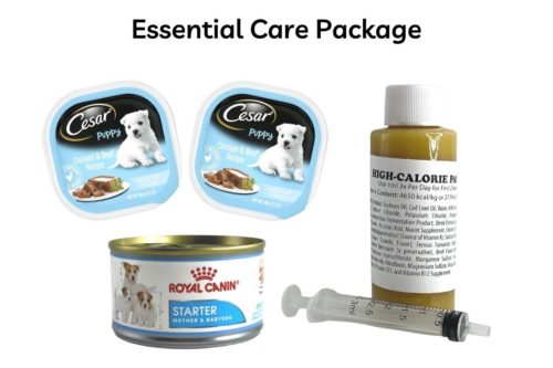 Essential Care Package