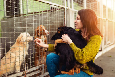 Young woman in dog shelter playing with dogs an choosing which one to adopt.