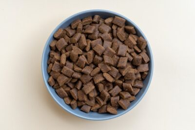 A bowl of dry dog food.