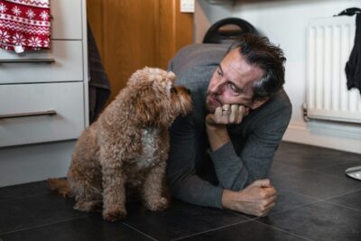Cavapoo with owner