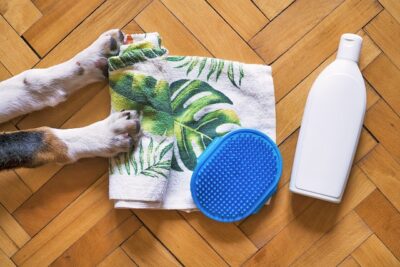 Dog Grooming Towel Shampoo