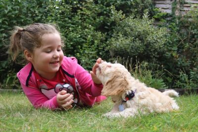 Little girl with cockapoo pup