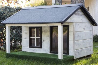 custom built dog house