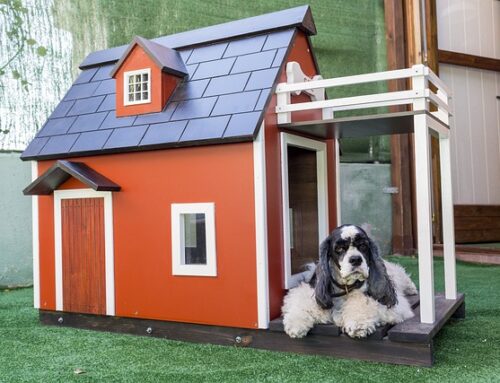 2024’s Ultimate Guide to Dog Houses: Crafting a Cozy Haven for Your Pup