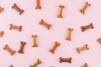 dog treats on a pink background