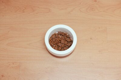 Dog Food in a Pet Bowl on a Wooden Surface