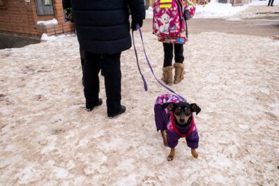 Person Standing on Snow with a Dog on Leash