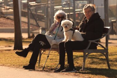 Women sitting on bench with Bichon Frise