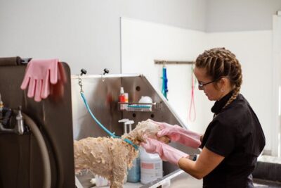 A woman washing a dog in a pet grooming salon