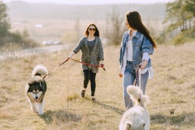 Girlfriends with dogs walking in countryside in autumn day