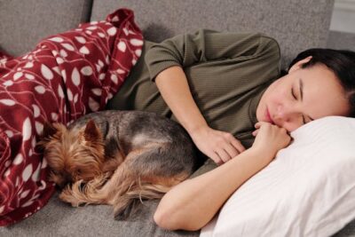 Woman Sleeping on Sofa with a Yorkie Dog 