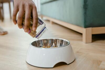 Person Putting Dog Food on Bowl