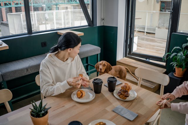 can dogs eat bread