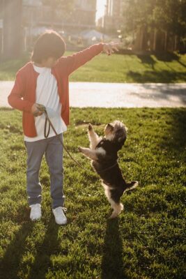 kid showing command to a Yorkie while training outdoors