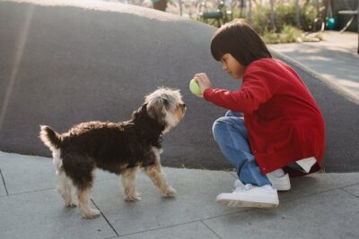  boy showing ball to Yorkshire Terrier on urban pavement