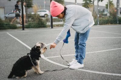 Boy Teaching Puppy
