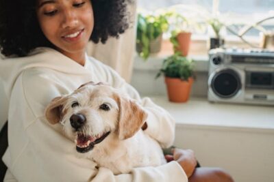 woman hugging cute dog in room
