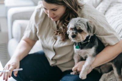 woman holding morkie dog and sitting on couch during work
