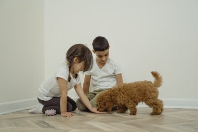 Girl in White Shirt and Black Pants Playing with Brown Dog
