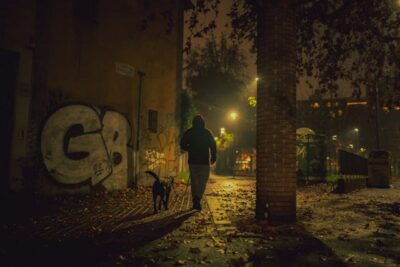 Man Walking Dog at Night
