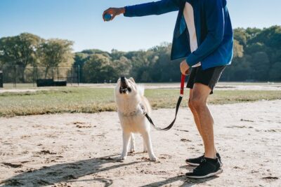 owner playing ball with dog in park