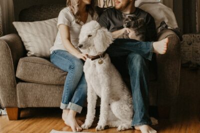 Dog bonding with couple and cat